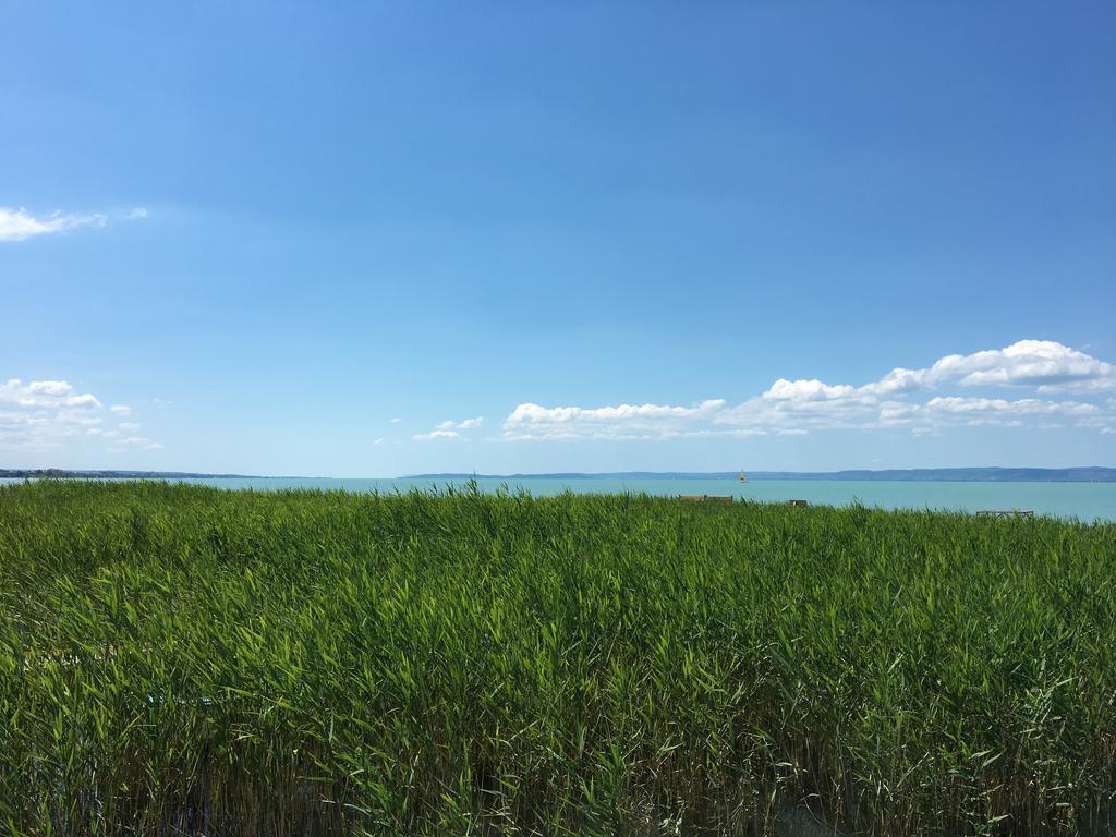 Residence At Lake Balaton シオーフォク エクステリア 写真