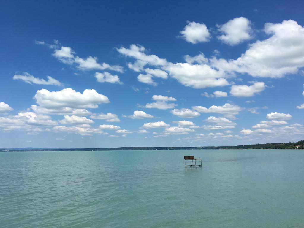 Residence At Lake Balaton シオーフォク エクステリア 写真